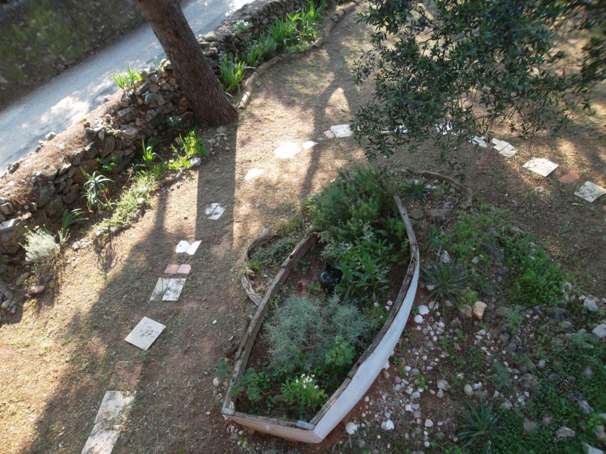 Hodak Apartment نيغيزيني المظهر الخارجي الصورة