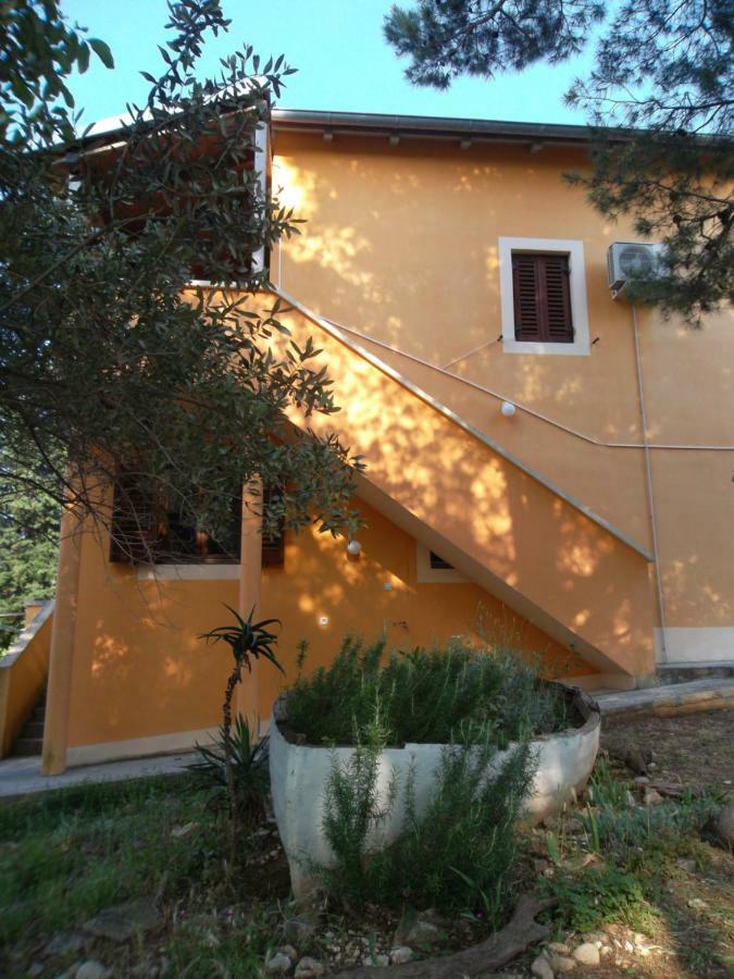 Hodak Apartment نيغيزيني المظهر الخارجي الصورة
