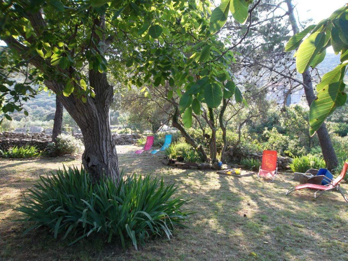 Hodak Apartment نيغيزيني المظهر الخارجي الصورة