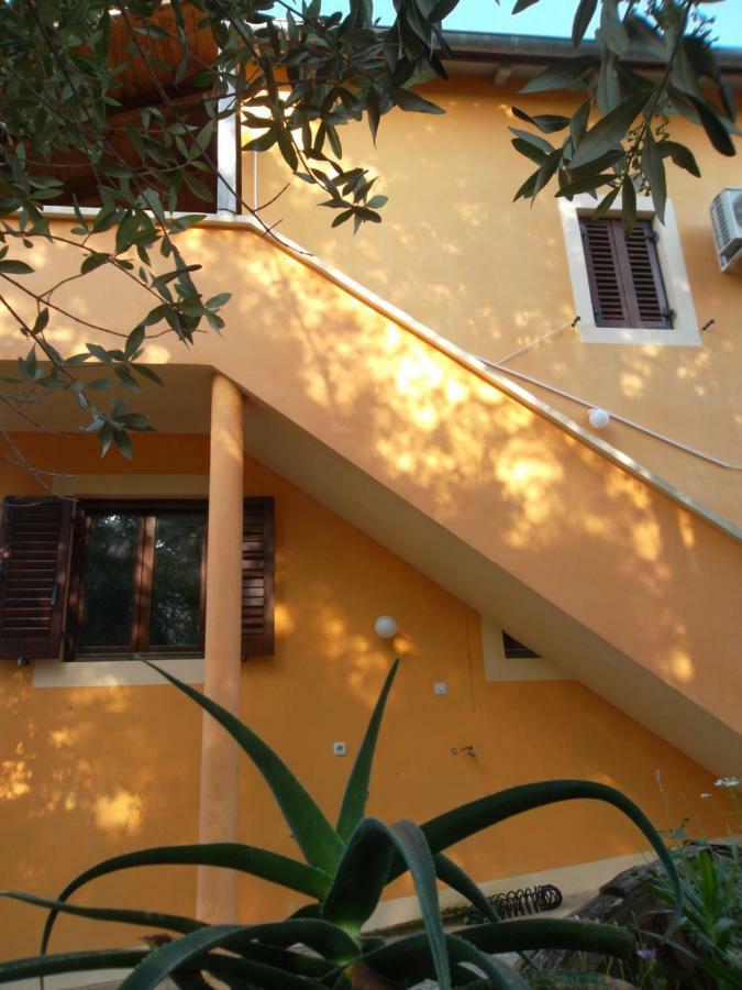 Hodak Apartment نيغيزيني المظهر الخارجي الصورة